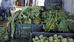 cooperatives cooperative agricole laboratori certificazione agricoltura valle della Bekaaa Beqa'a Libano Lebanon produce fruit vegetables laboratories cooperatives agri-food supply chains